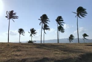 Hurricane Erin
